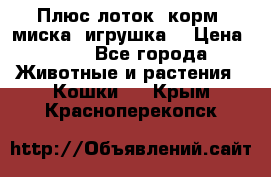 Плюс лоток, корм, миска, игрушка. › Цена ­ 50 - Все города Животные и растения » Кошки   . Крым,Красноперекопск